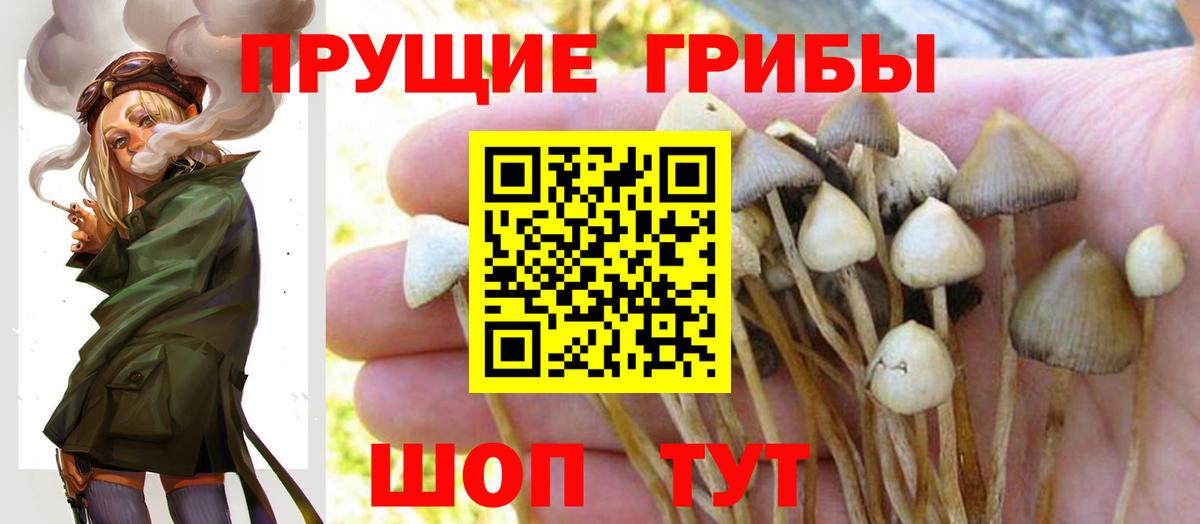 Псилоцибиновые грибы Magic Shrooms  Галлюциногенные грибы ЛСД  Унеча  сколько стоит  Вход с VPN 