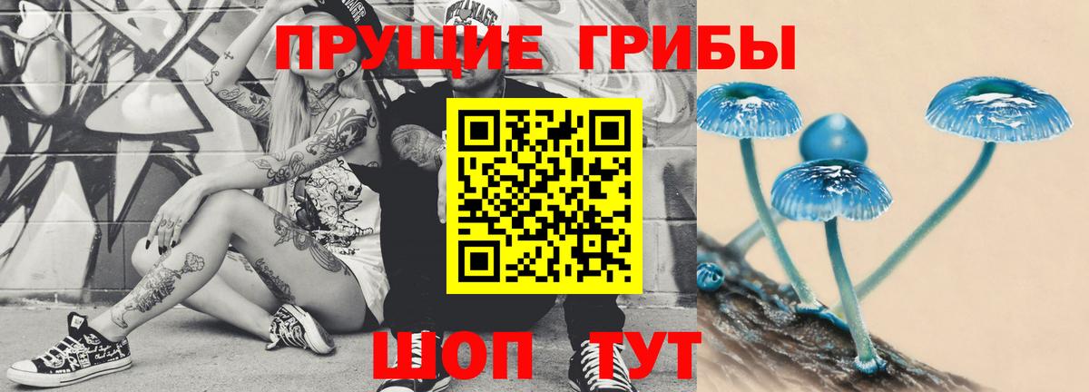 Галлюциногенные грибы Cubensis Унеча